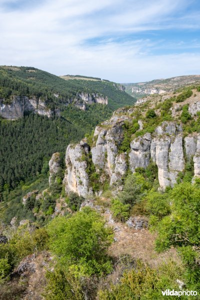 Gorges de la Jonte