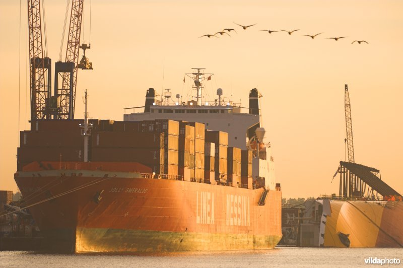 Vrachtschip in Deurganckdok