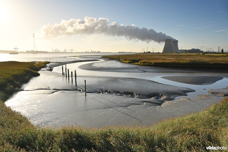 Haven van Ouden Doel 