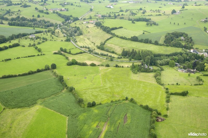 Lijnvormige landschapselementen