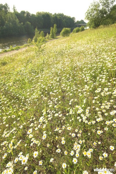 Kanaalbermen in Moen