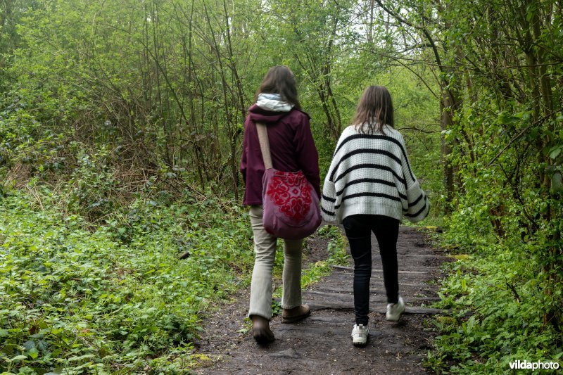 Wandelen in bos t'Ename