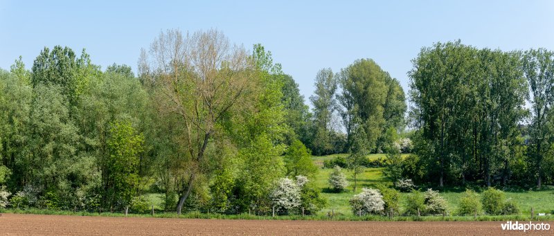 Kleinschalig landschap