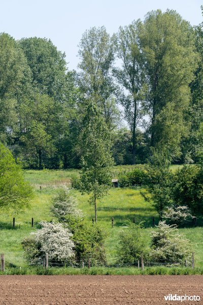 Kleinschalig landschap