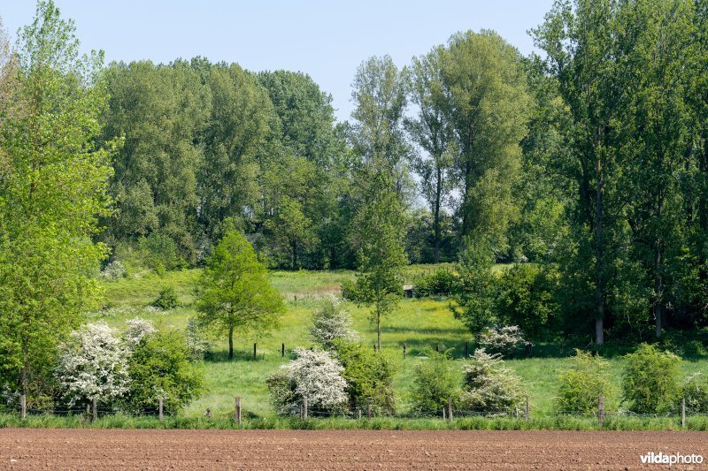 Kleinschalig landschap