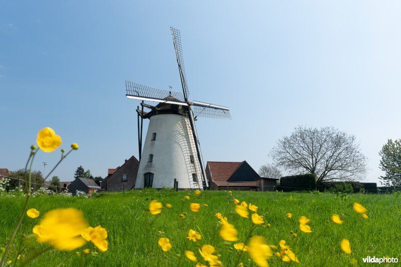 Molen Ter Rijst