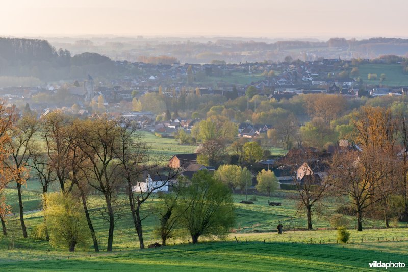 Zicht richting Brakel