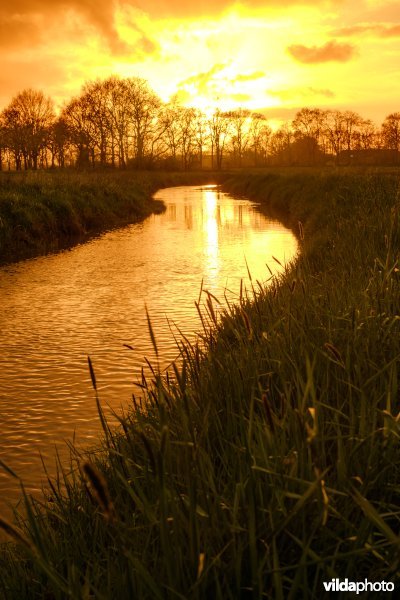 Het Reestdal, Meppel