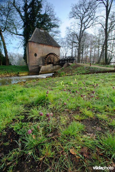 Landgoed Hackfort, Nederland