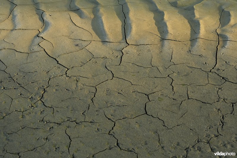 Durme in Waasmunster