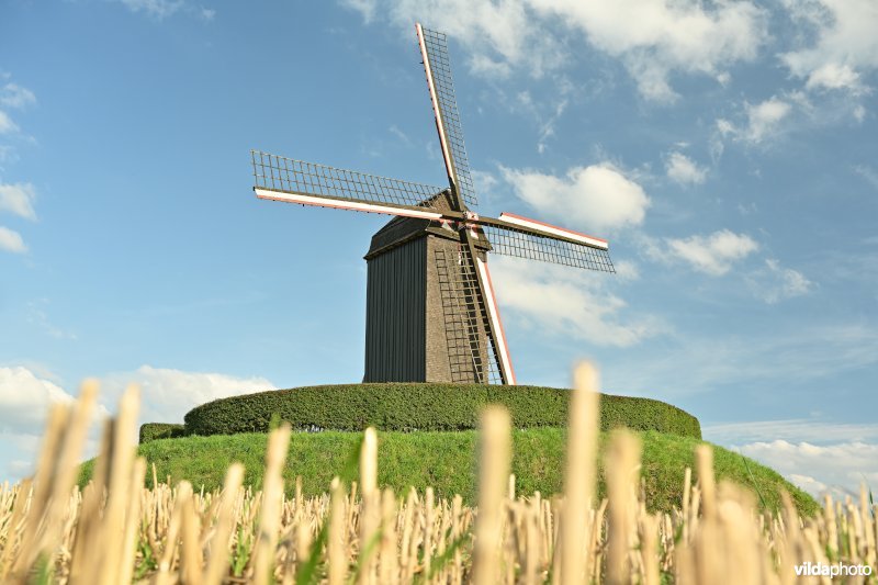 Schietsjampettermolen