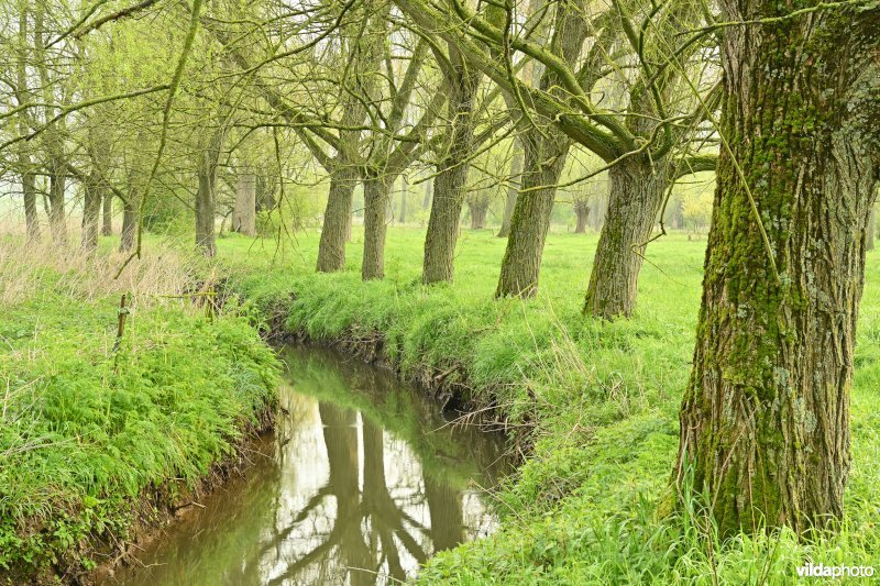 Moenebroekbeek