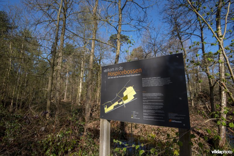 infobord in het provinciaal natuurdomein Hospicebossen