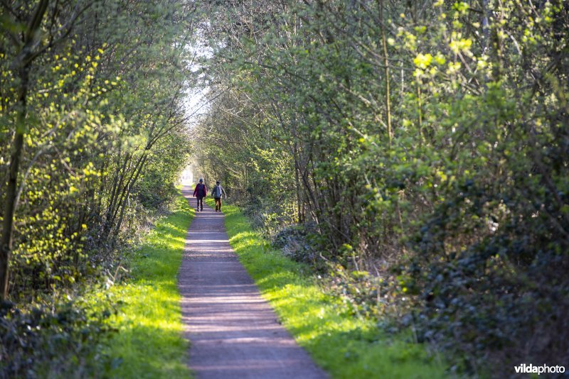 wandelaars in het Provinciaal natuurdomein Hospicebossen