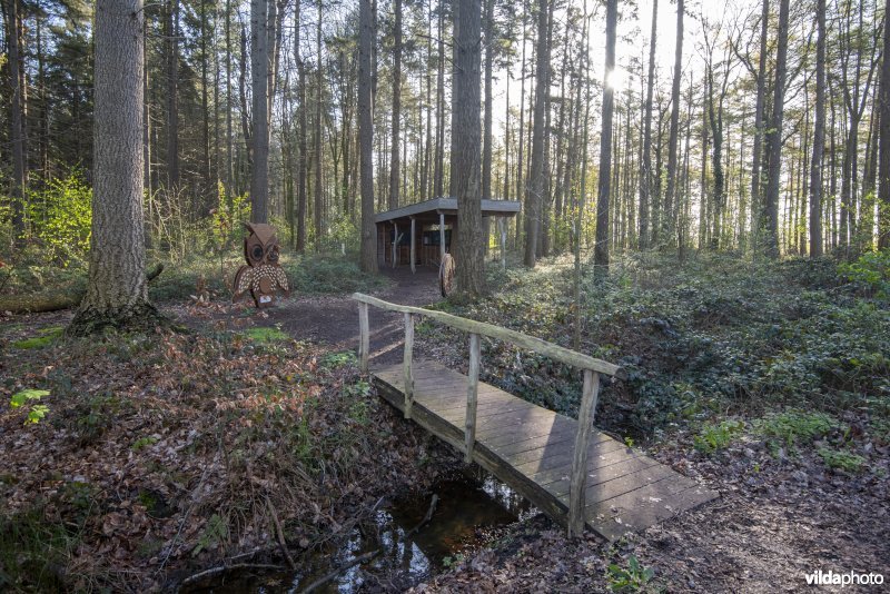 onthaalpunt met geboortemonument in het provinciaal natuurdomein Hospicebossen