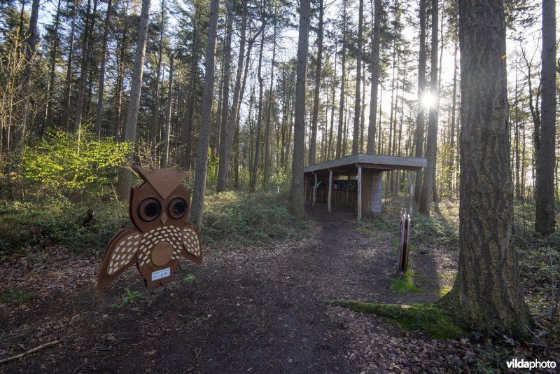 onthaalpunt met geboortemonument in het provinciaal natuurdomein Hospicebossen