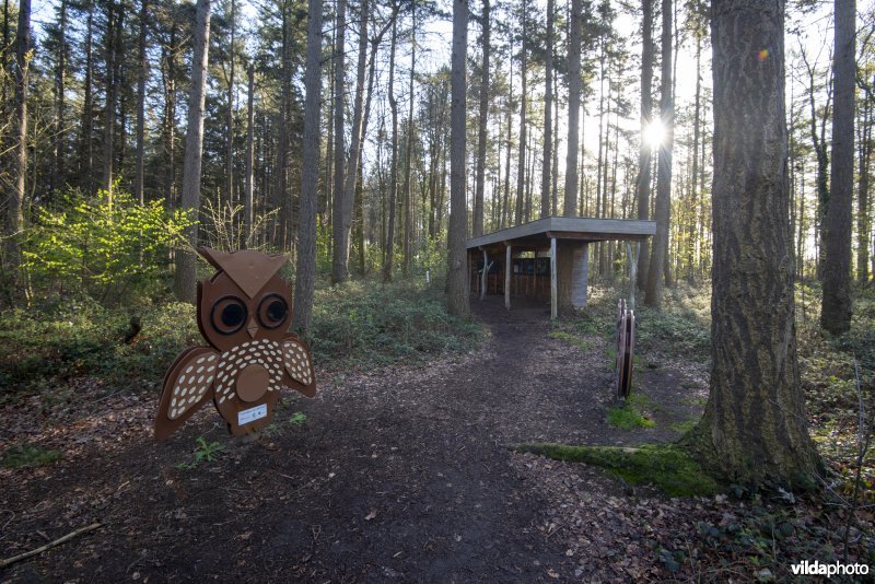 onthaalpunt met geboortemonument in het provinciaal natuurdomein Hospicebossen