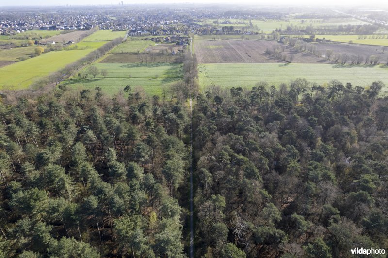 luchtfoto van het Provinciaal natuurdomein Hospicebossen