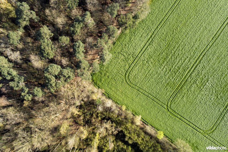 luchtfoto van het Provinciaal natuurdomein Hospicebossen