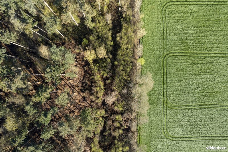 luchtfoto van het Provinciaal natuurdomein Hospicebossen