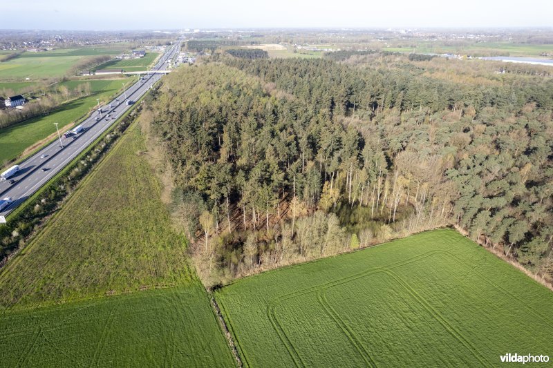 luchtfoto van het Provinciaal natuurdomein Hospicebossen langs de snelweg E17