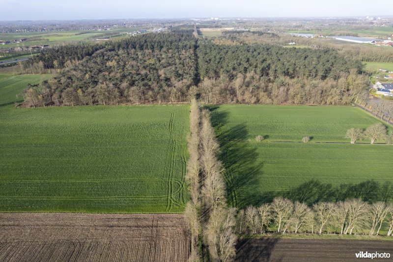 luchtfoto van het Provinciaal natuurdomein Hospicebossen