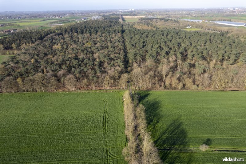 luchtfoto van het Provinciaal natuurdomein Hospicebossen