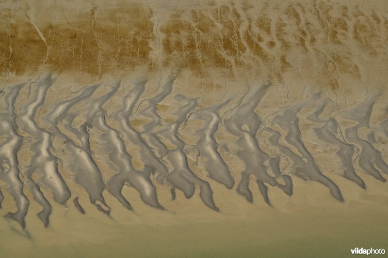 Plaat van Baarland in de Westerschelde