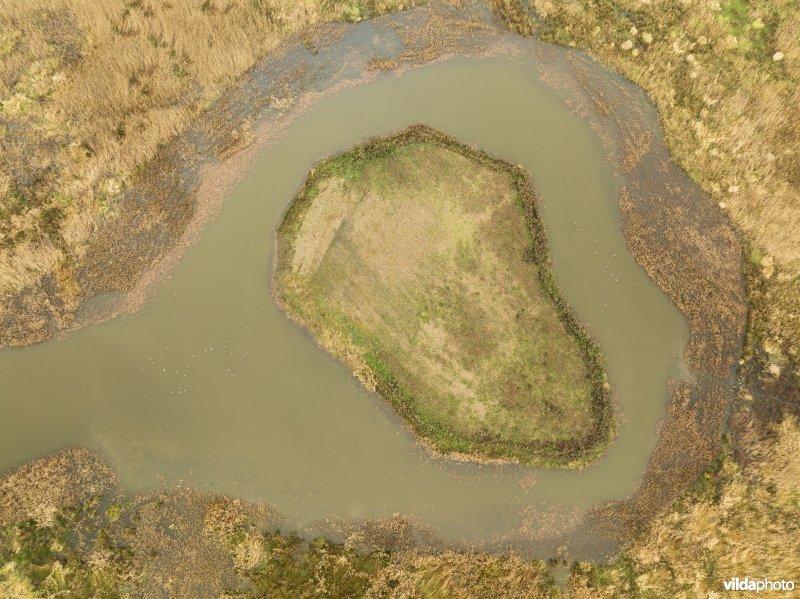 Vlassenbroekse Polder 