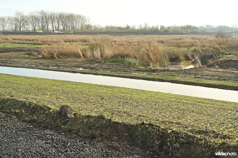 Vlassenbroekse Polder (R)   