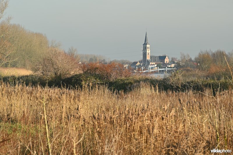 Groot Schoor in Hamme