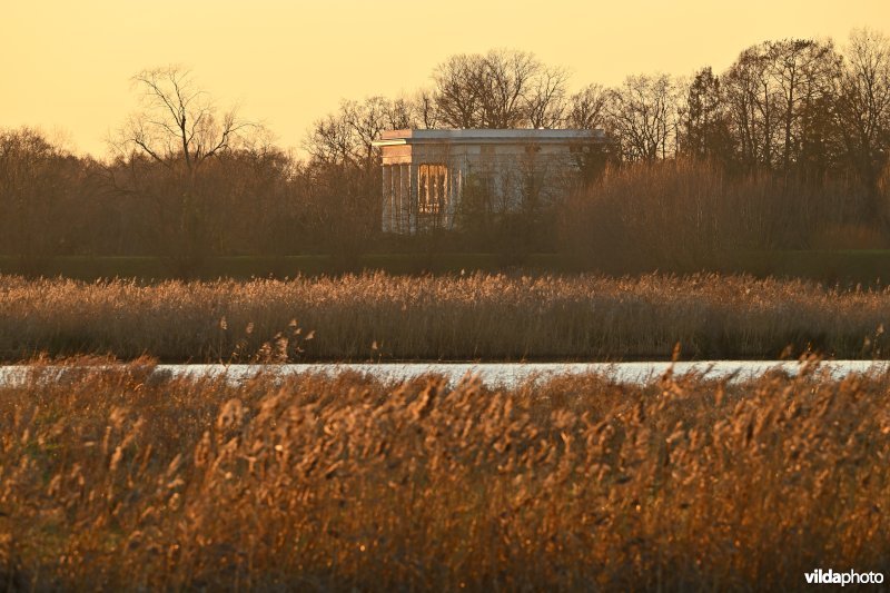 Polder van Lier