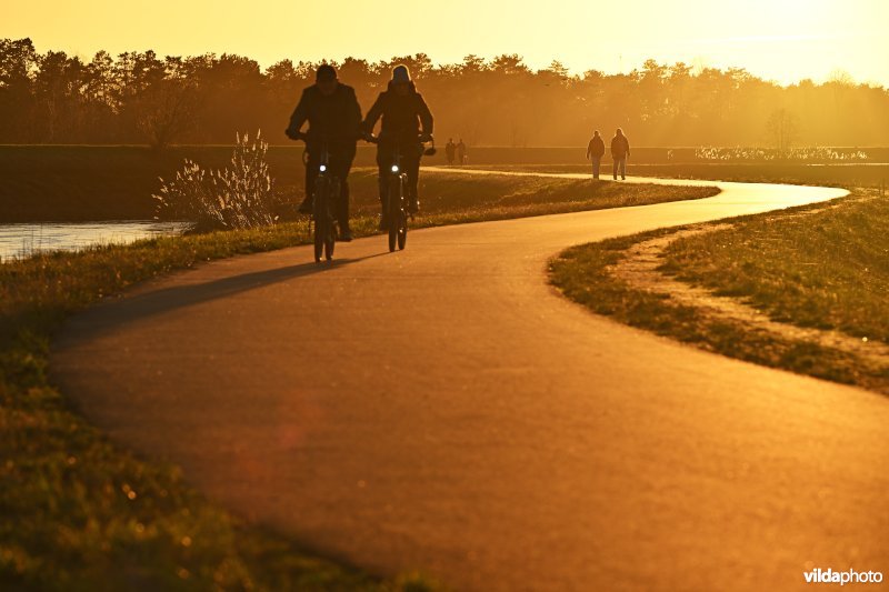 Polder van Lier