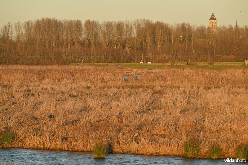 Polder van Lier