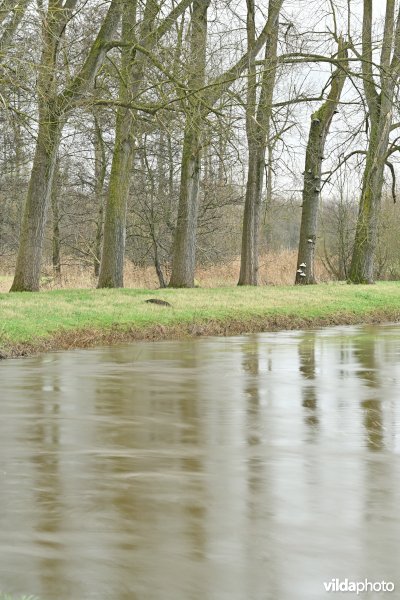 Demervallei: Kloosterbeemden