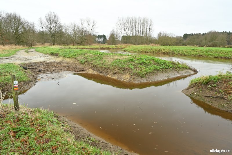 Demervallei: Kloosterbeemden