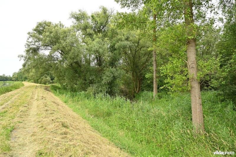 Demervallei: Werchter 