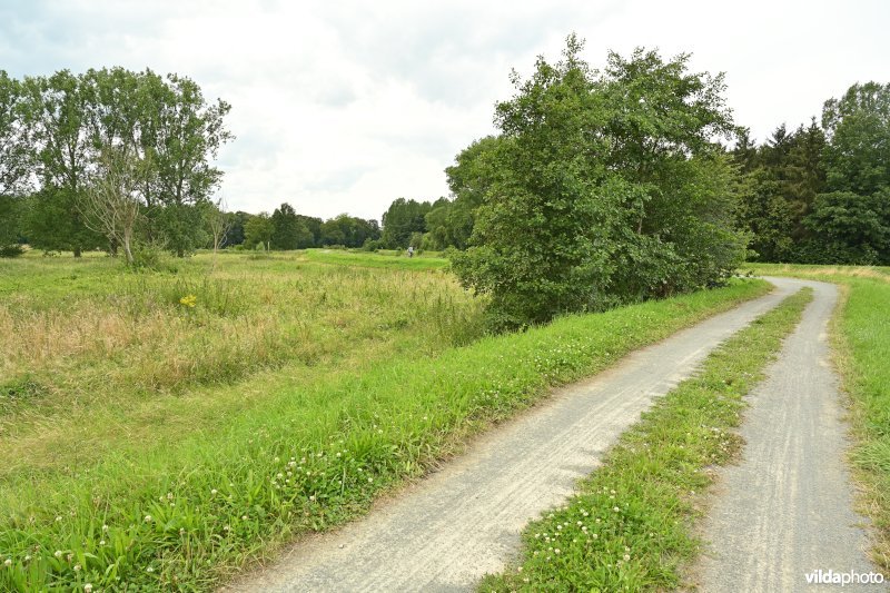 Demervallei: Kokermeanders 