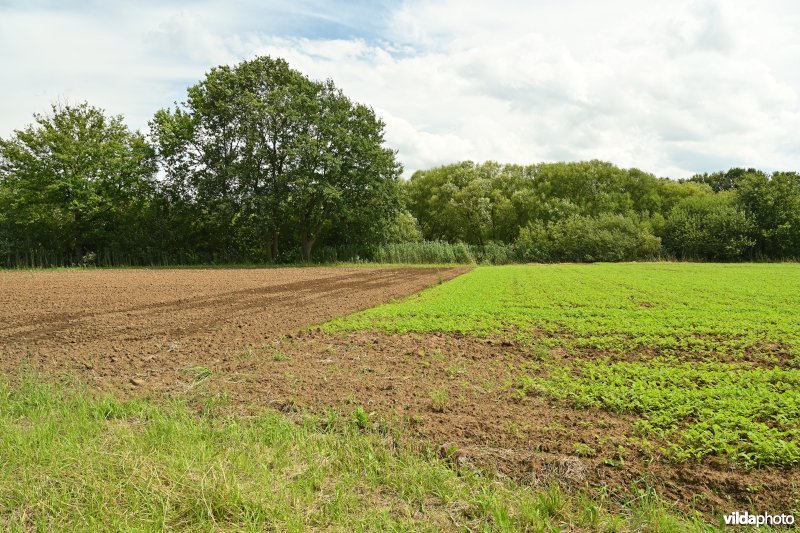 Demervallei: Heuvels Laakvallei 
