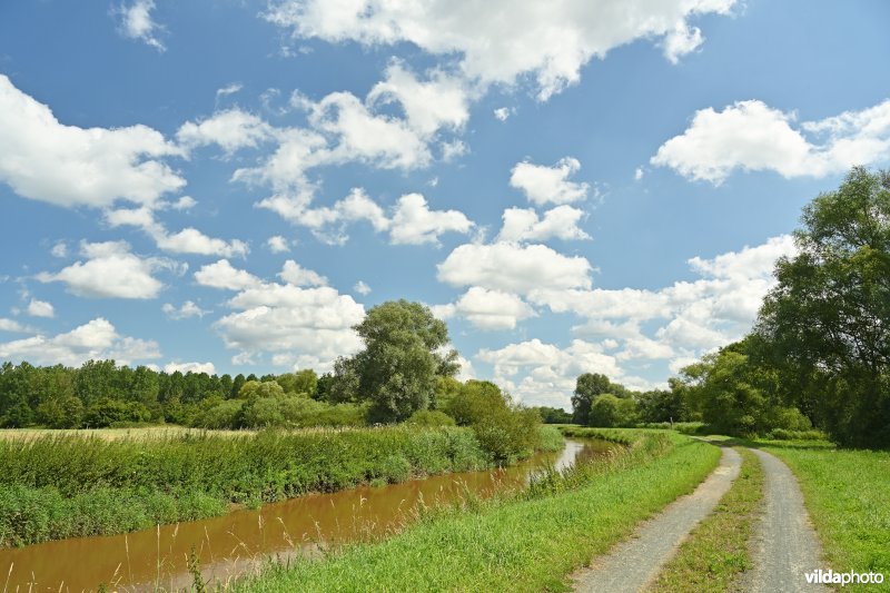 Demervallei: Rommelaar