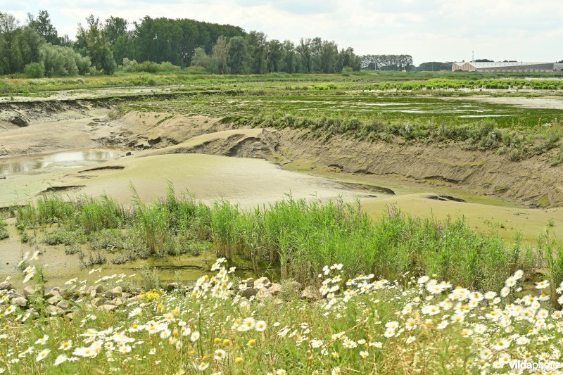 Klein Broek