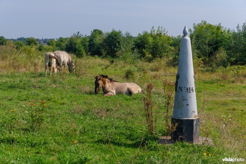 Grenspaal aan de Maas