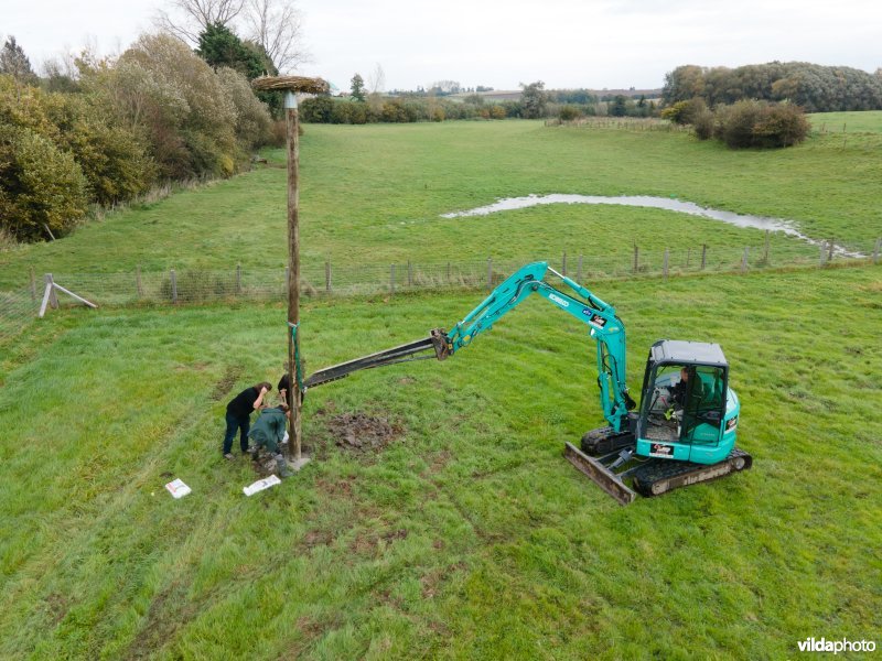 Het plaatsen van een ooievaarsnestpaal