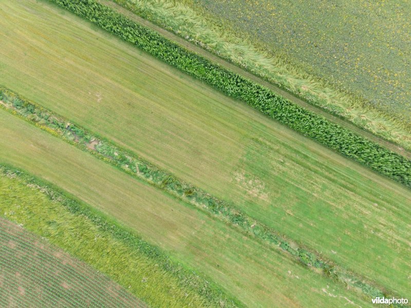 Gracht, kruidenrijk grasland en bloemenstrook