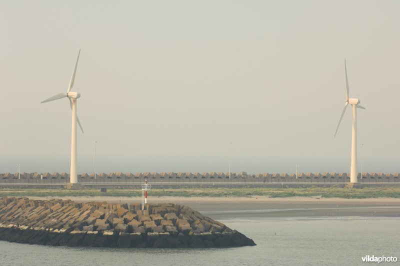 Windmolens in de voorhaven van Zeebrugge