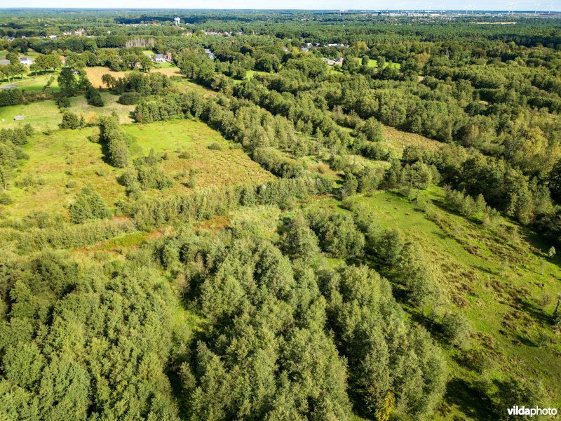 Vallei van de Grote Nete