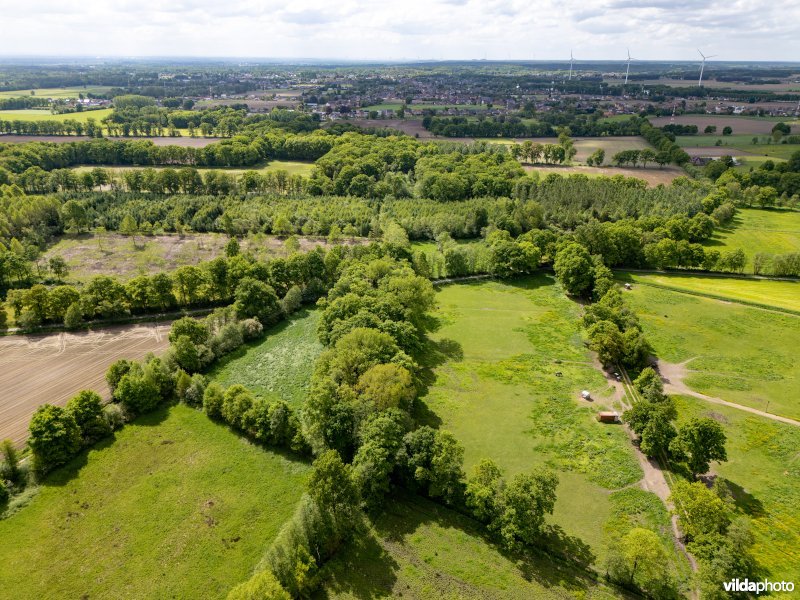 Natuurgebied De Brand