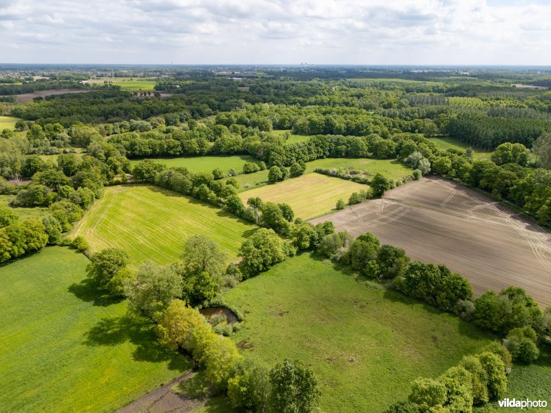 Natuurgebied De Brand