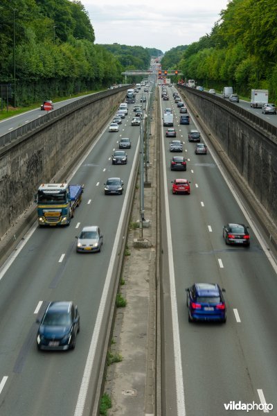 Ring rond Brussel in het Zoniënwoud