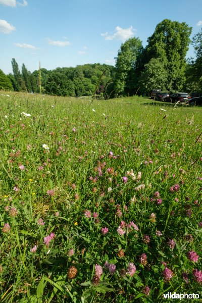 6510 Schraal hooiland